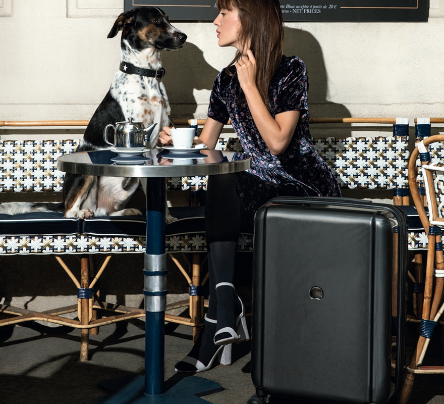Delsey Paris