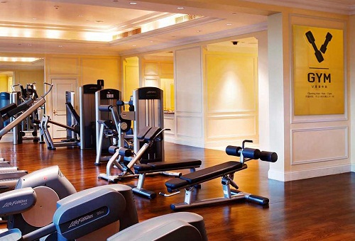 V Gym