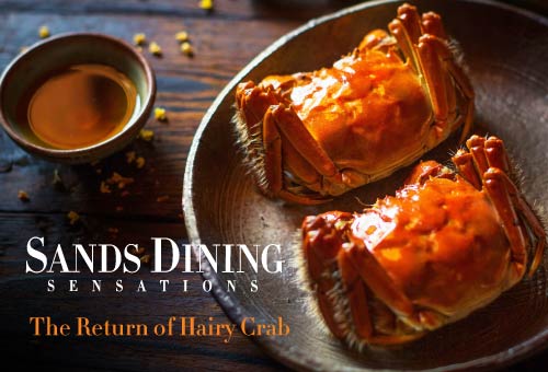 The Return of Hairy Crab The Return of Hairy Crab