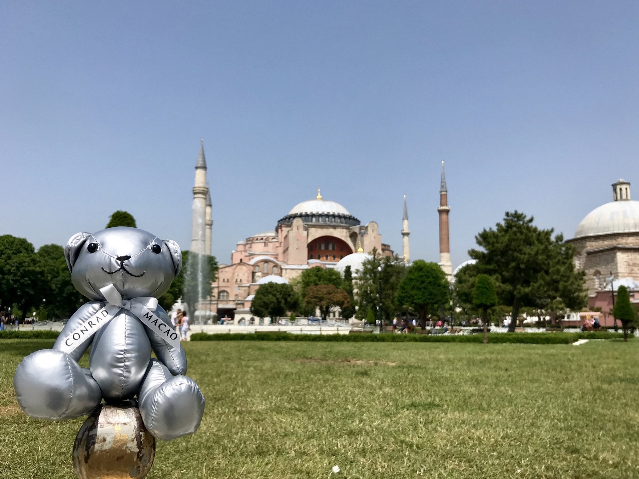 TravelBear2019